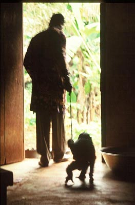 Future the chimp and the poacher that captured him